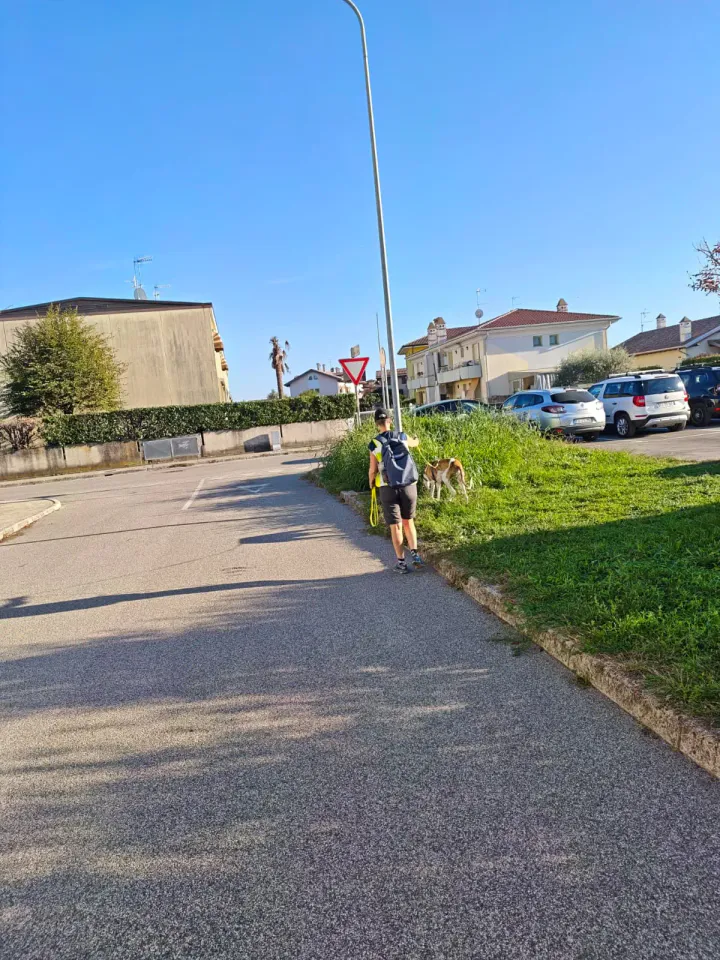 Foto GEM DOG A.S.D.: Allenamento di mantrailing, Pradamano, 27 settembre 2026, foto 145 di 153