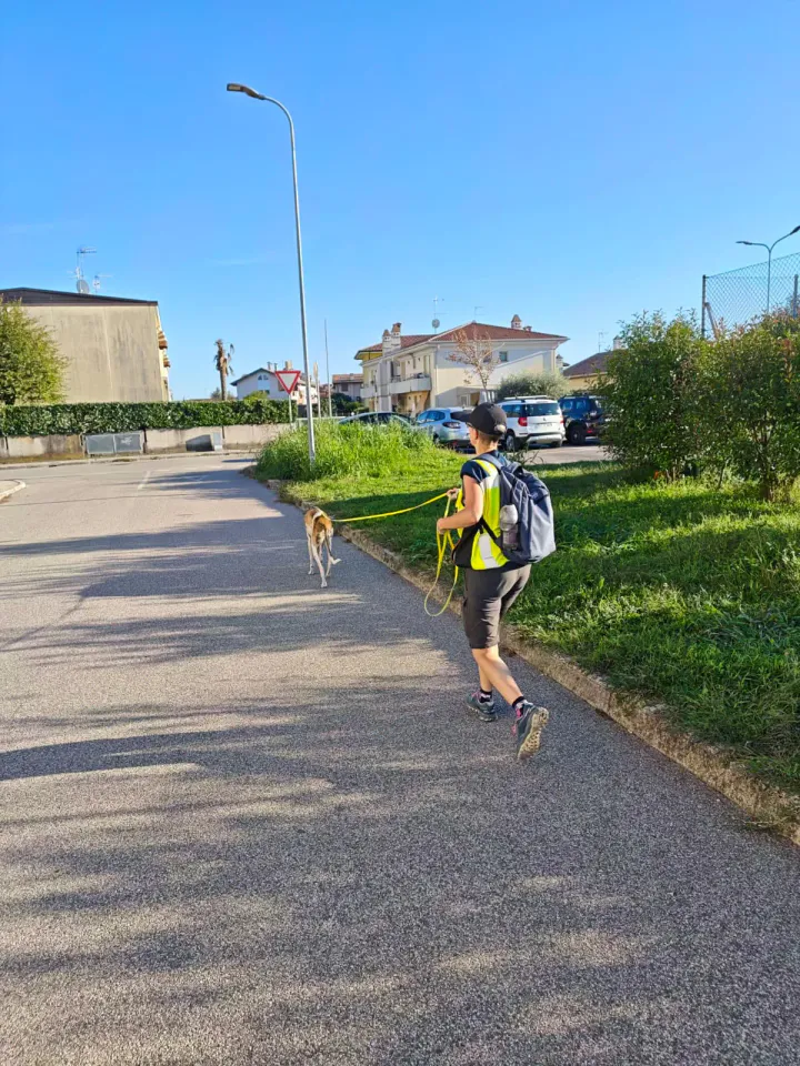 Foto GEM DOG A.S.D.: Allenamento di mantrailing, Pradamano, 27 settembre 2026, foto 147 di 153
