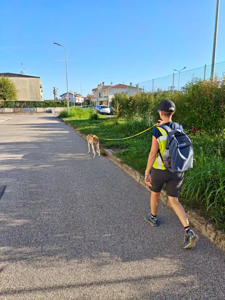 Foto GEM DOG A.S.D.: Allenamento di mantrailing, Pradamano, 27 settembre 2026, foto 148 di 153
