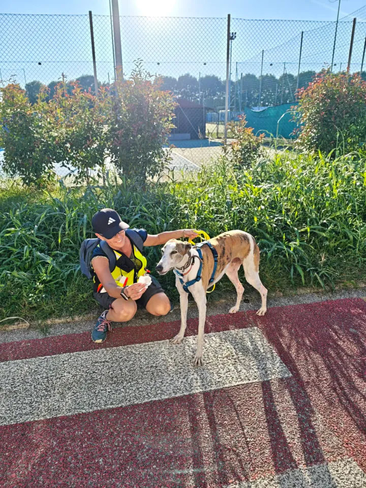 Foto GEM DOG A.S.D.: Allenamento di mantrailing, Pradamano, 27 settembre 2026, foto 150 di 153