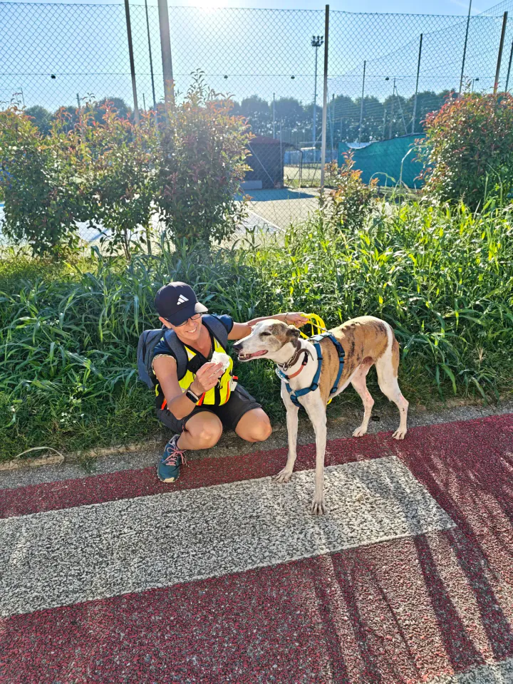 Foto GEM DOG A.S.D.: Allenamento di mantrailing, Pradamano, 27 settembre 2026, foto 152 di 153