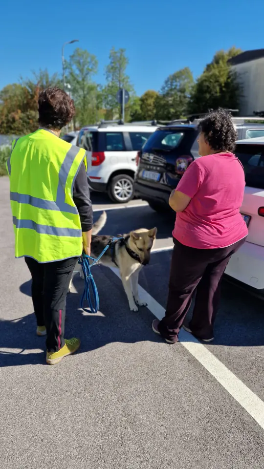 Foto GEM DOG A.S.D.: Allenamento di mantrailing, Pradamano, 27 settembre 2026, foto 17 di 153