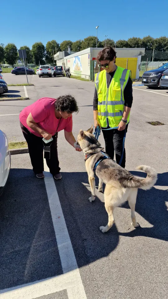 Foto GEM DOG A.S.D.: Allenamento di mantrailing, Pradamano, 27 settembre 2026, foto 18 di 153