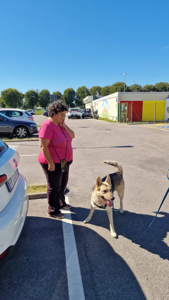 Foto GEM DOG A.S.D.: Allenamento di mantrailing, Pradamano, 27 settembre 2026, foto 20 di 153
