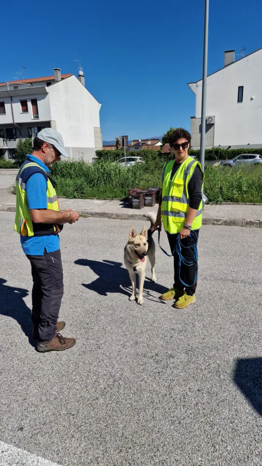 Foto GEM DOG A.S.D.: Allenamento di mantrailing, Pradamano, 27 settembre 2026, foto 27 di 153