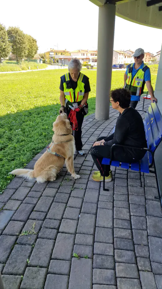 Foto GEM DOG A.S.D.: Allenamento di mantrailing, Pradamano, 27 settembre 2026, foto 31 di 153