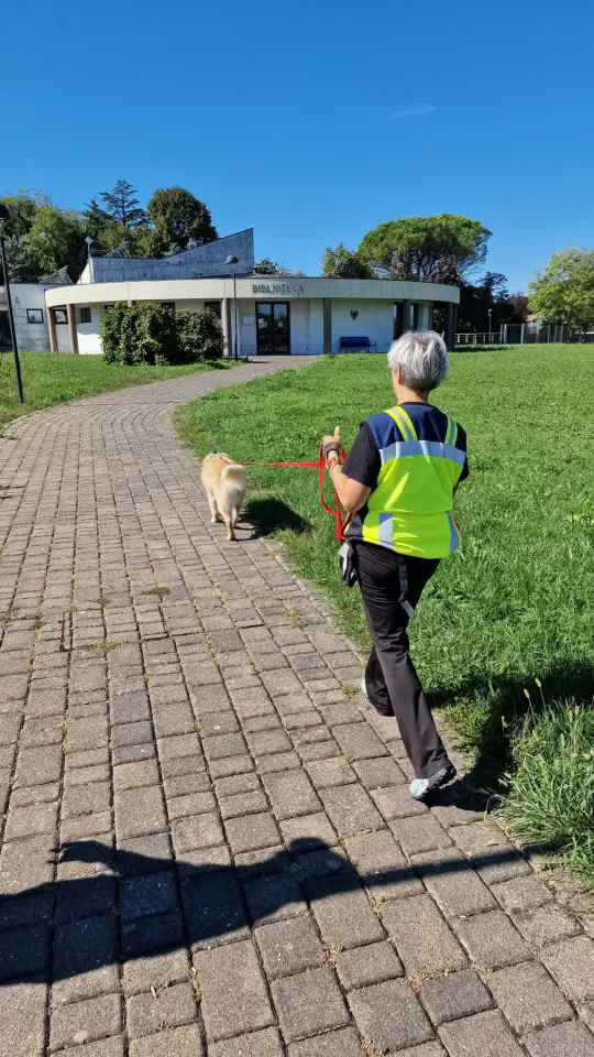 Foto GEM DOG A.S.D.: Allenamento di mantrailing, Pradamano, 27 settembre 2026, foto 34 di 153