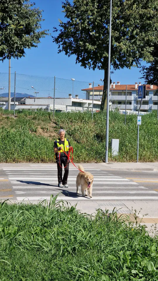 Foto GEM DOG A.S.D.: Allenamento di mantrailing, Pradamano, 27 settembre 2026, foto 35 di 153