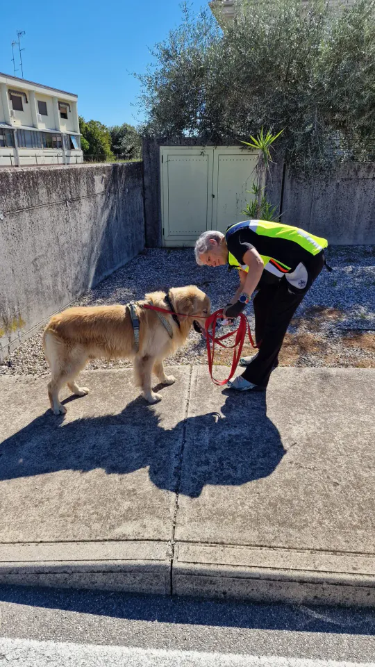 Foto GEM DOG A.S.D.: Allenamento di mantrailing, Pradamano, 27 settembre 2026, foto 44 di 153