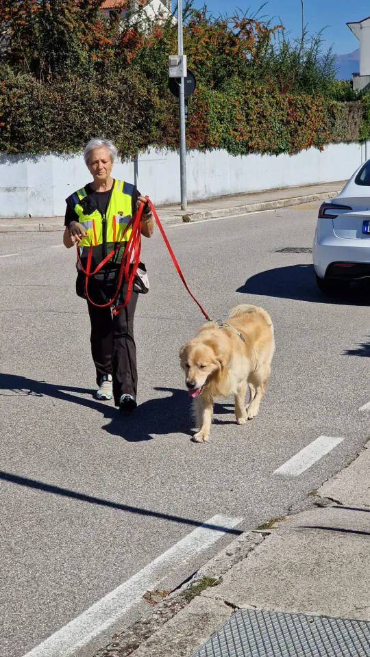 Foto GEM DOG A.S.D.: Allenamento di mantrailing, Pradamano, 27 settembre 2026, foto 46 di 153
