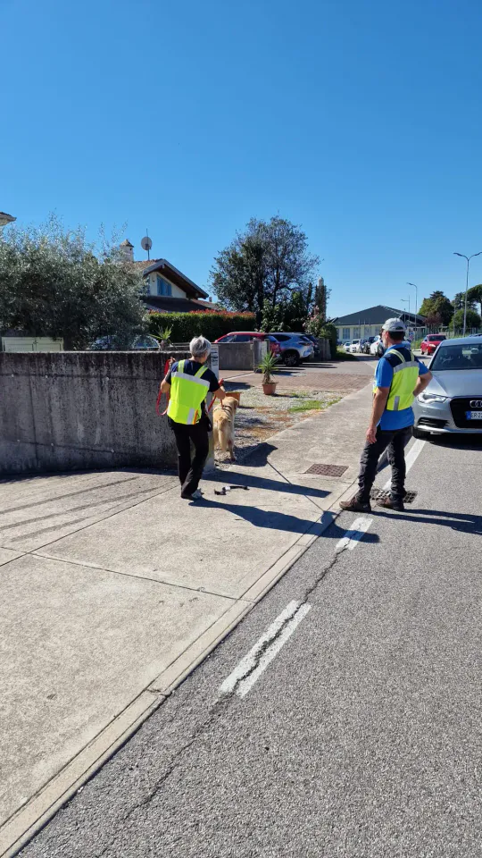 Foto GEM DOG A.S.D.: Allenamento di mantrailing, Pradamano, 27 settembre 2026, foto 49 di 153