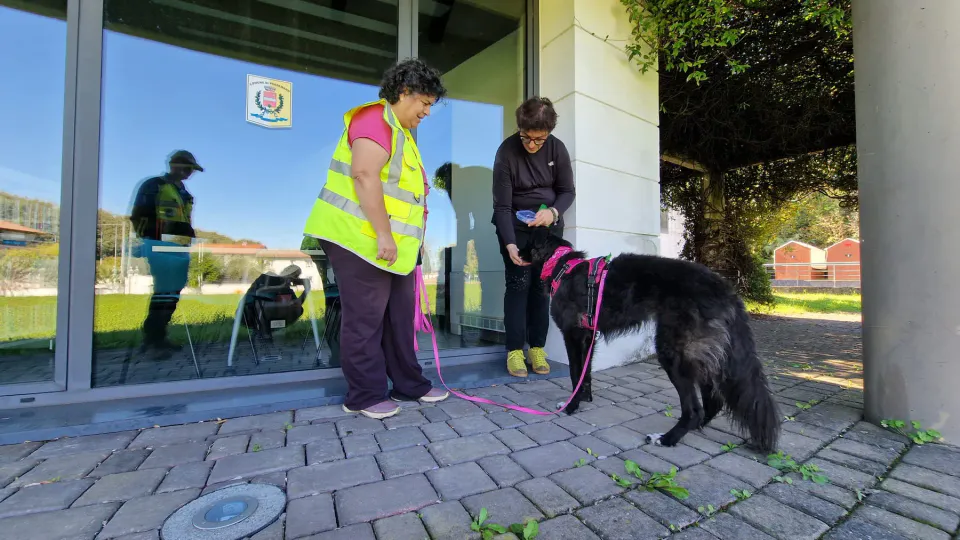 Foto GEM DOG A.S.D.: Allenamento di mantrailing, Pradamano, 27 settembre 2026, foto 51 di 153