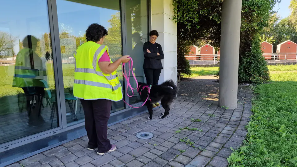 Foto GEM DOG A.S.D.: Allenamento di mantrailing, Pradamano, 27 settembre 2026, foto 54 di 153