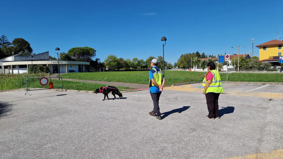Foto GEM DOG A.S.D.: Allenamento di mantrailing, Pradamano, 27 settembre 2026, foto 56 di 153
