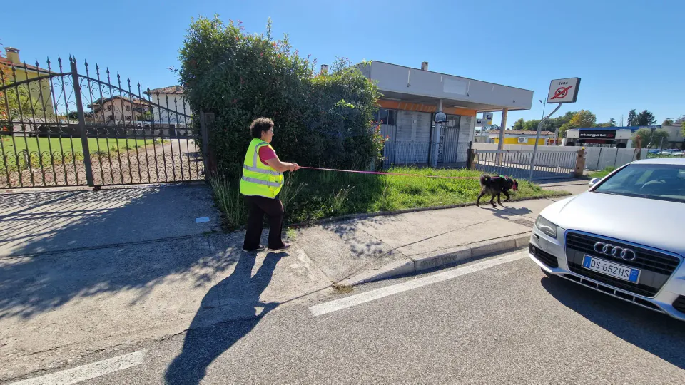 Foto GEM DOG A.S.D.: Allenamento di mantrailing, Pradamano, 27 settembre 2026, foto 61 di 153