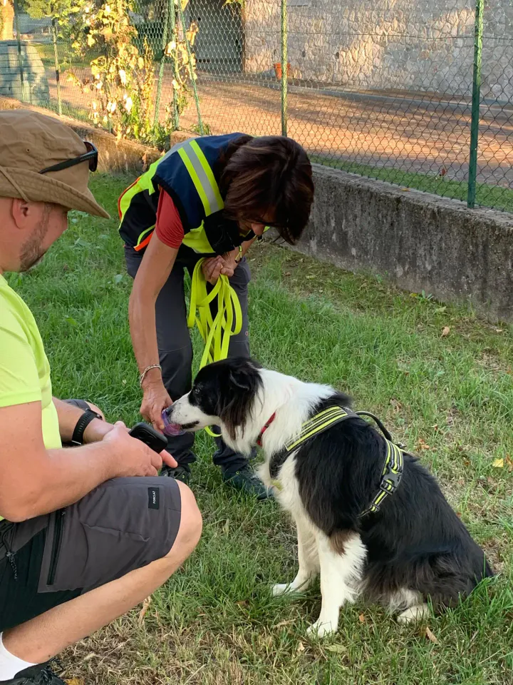 Foto GEM DOG A.S.D.: Allenamento di mantrailing, Pradamano, 27 settembre 2026, foto 63 di 153