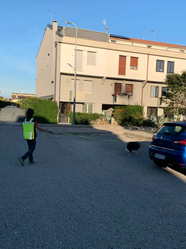 Foto GEM DOG A.S.D.: Allenamento di mantrailing, Pradamano, 27 settembre 2026, foto 64 di 153