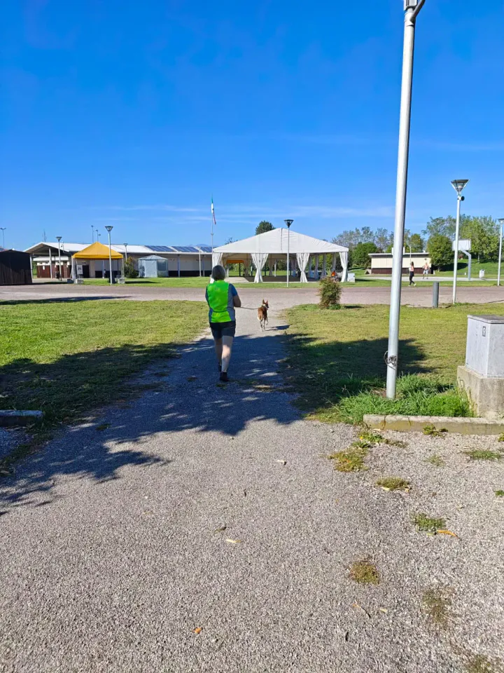 Foto GEM DOG A.S.D.: Allenamento di mantrailing, Pradamano, 27 settembre 2026, foto 70 di 153