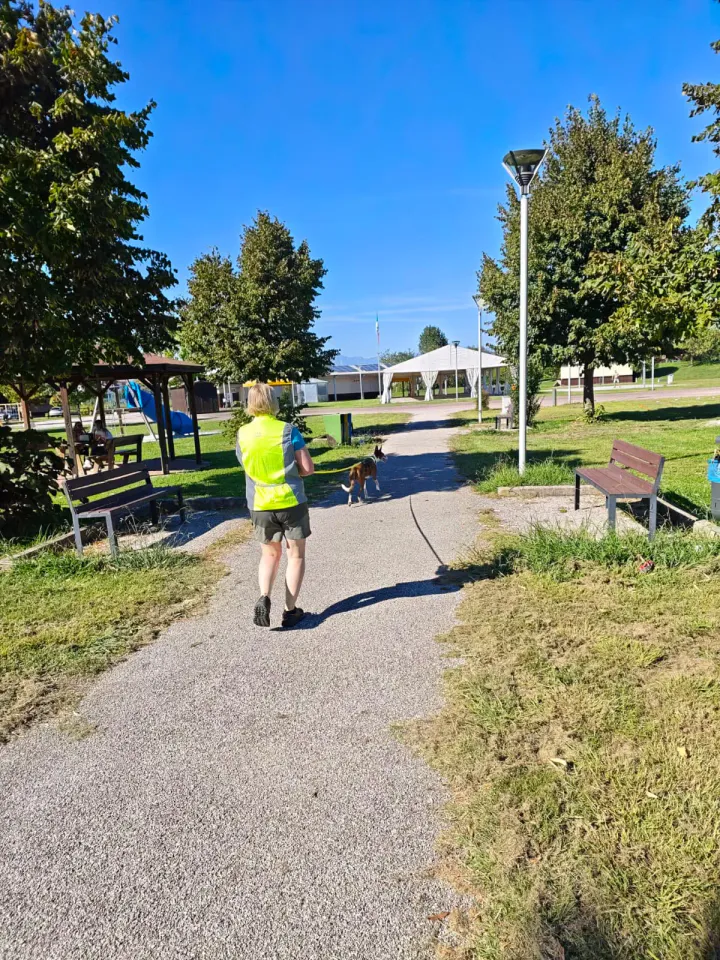 Foto GEM DOG A.S.D.: Allenamento di mantrailing, Pradamano, 27 settembre 2026, foto 71 di 153