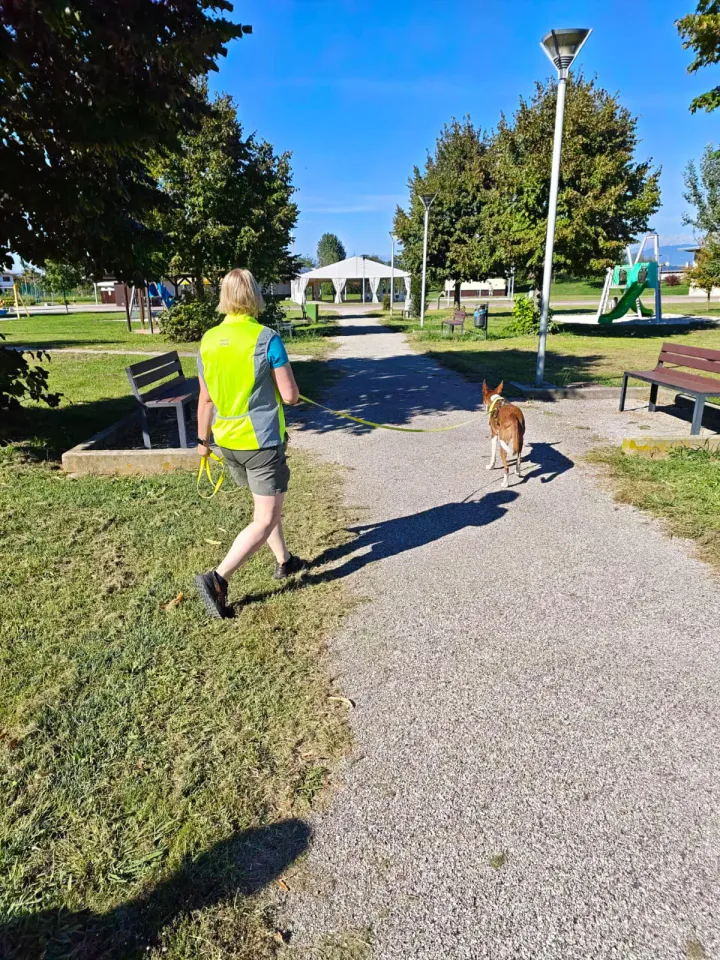 Foto GEM DOG A.S.D.: Allenamento di mantrailing, Pradamano, 27 settembre 2026, foto 72 di 153