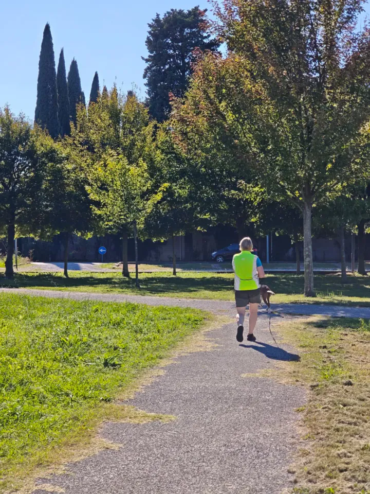 Foto GEM DOG A.S.D.: Allenamento di mantrailing, Pradamano, 27 settembre 2026, foto 77 di 153