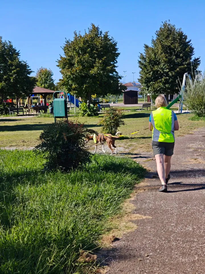Foto GEM DOG A.S.D.: Allenamento di mantrailing, Pradamano, 27 settembre 2026, foto 80 di 153