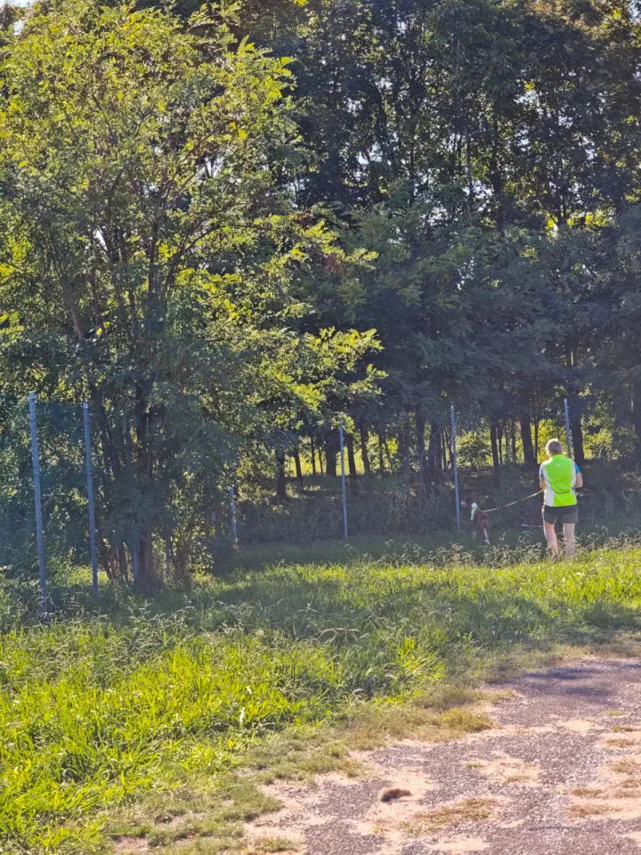 Foto GEM DOG A.S.D.: Allenamento di mantrailing, Pradamano, 27 settembre 2026, foto 82 di 153