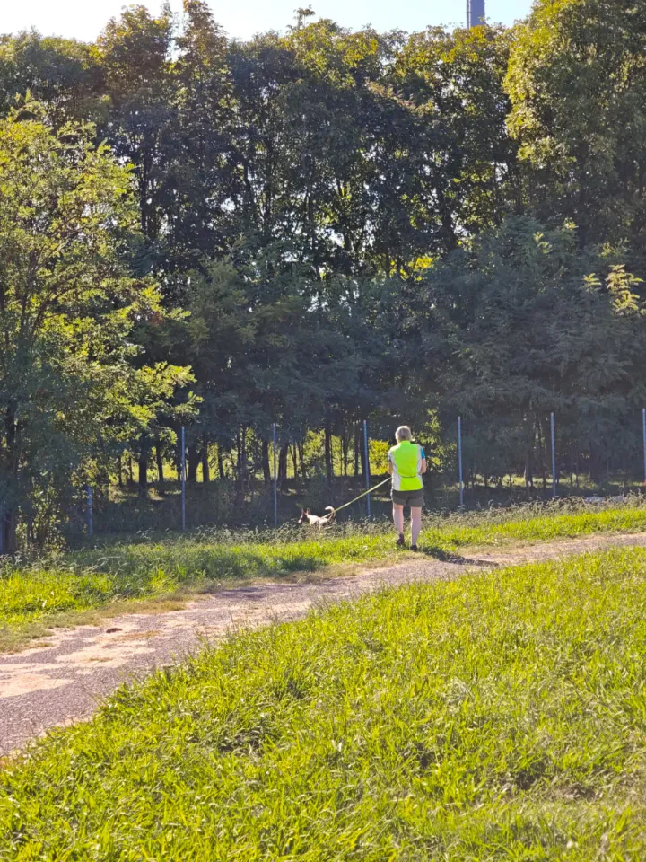 Foto GEM DOG A.S.D.: Allenamento di mantrailing, Pradamano, 27 settembre 2026, foto 83 di 153