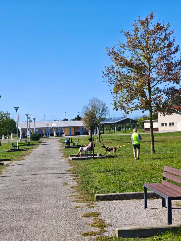 Foto GEM DOG A.S.D.: Allenamento di mantrailing, Pradamano, 27 settembre 2026, foto 87 di 153