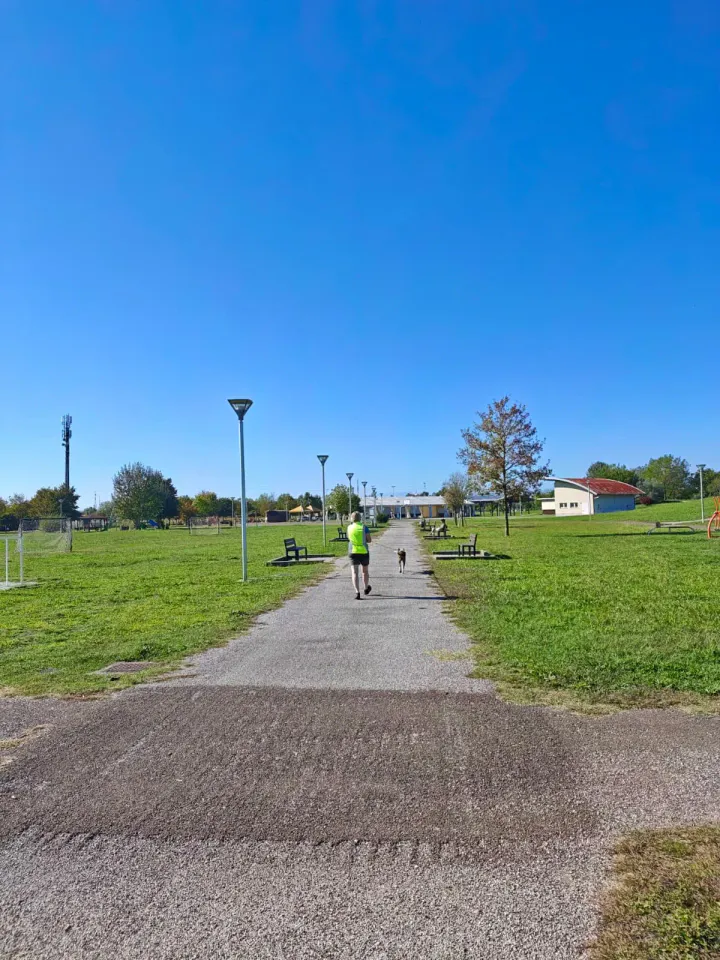 Foto GEM DOG A.S.D.: Allenamento di mantrailing, Pradamano, 27 settembre 2026, foto 89 di 153
