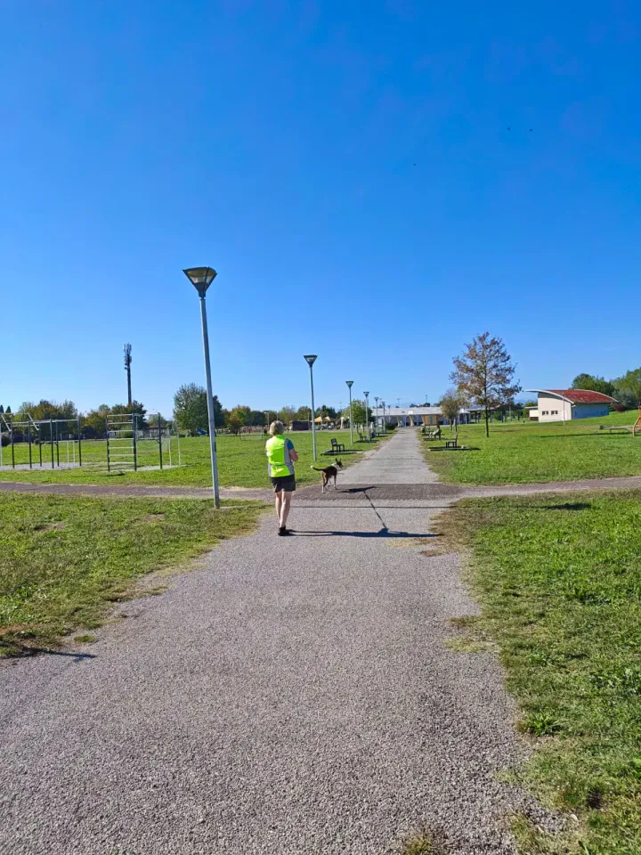 Foto GEM DOG A.S.D.: Allenamento di mantrailing, Pradamano, 27 settembre 2026, foto 90 di 153