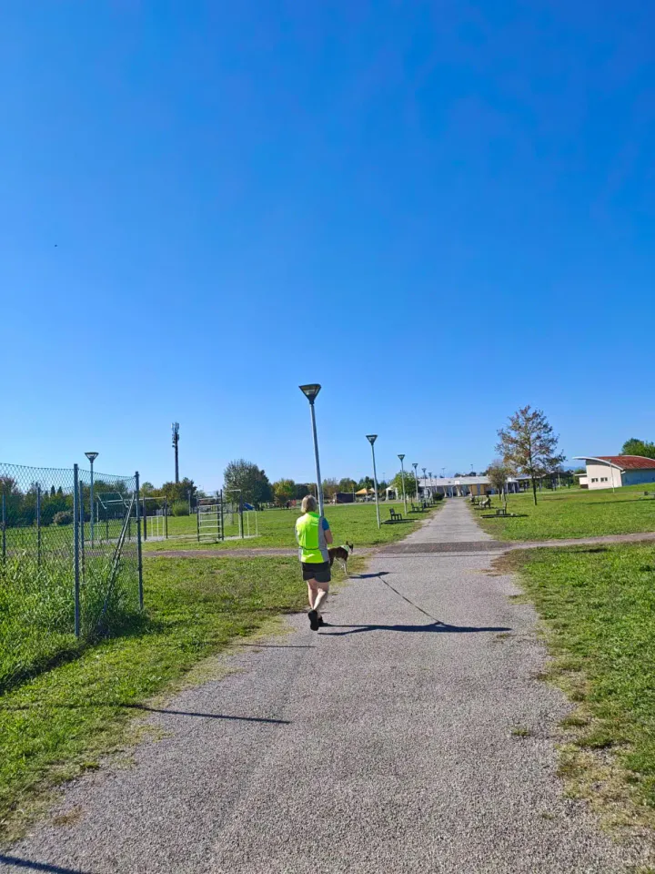 Foto GEM DOG A.S.D.: Allenamento di mantrailing, Pradamano, 27 settembre 2026, foto 91 di 153