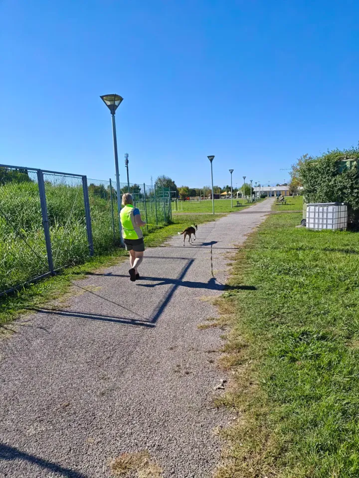 Foto GEM DOG A.S.D.: Allenamento di mantrailing, Pradamano, 27 settembre 2026, foto 92 di 153