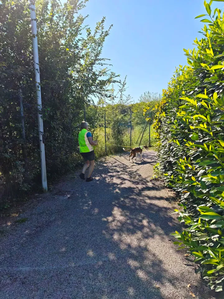 Foto GEM DOG A.S.D.: Allenamento di mantrailing, Pradamano, 27 settembre 2026, foto 94 di 153