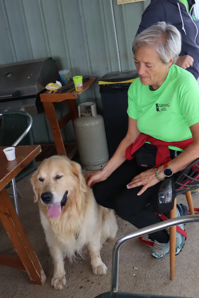 Foto GEM DOG A.S.D.: Gara interregionale di mantrailing MSP, Leproso, 11 ottobre 2026, foto 96 di 215
