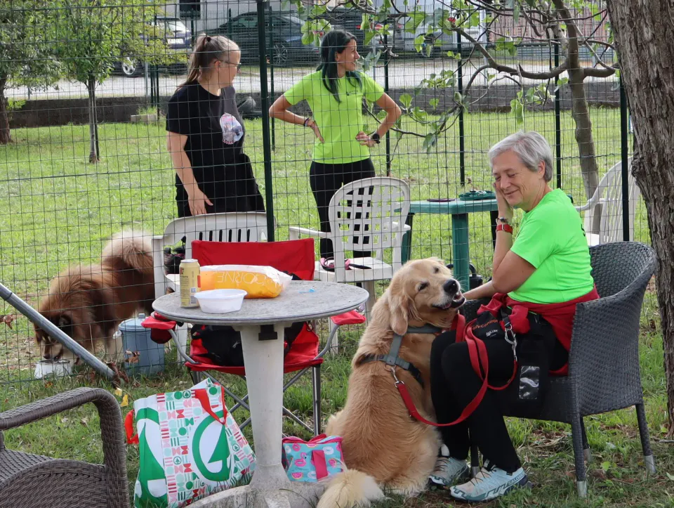 Foto GEM DOG A.S.D.: Gara interregionale di mantrailing MSP, Leproso, 11 ottobre 2026, foto 97 di 215
