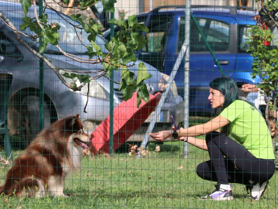 Foto GEM DOG A.S.D.: Gara interregionale di mantrailing MSP, Leproso, 11 ottobre 2026, foto 99 di 215