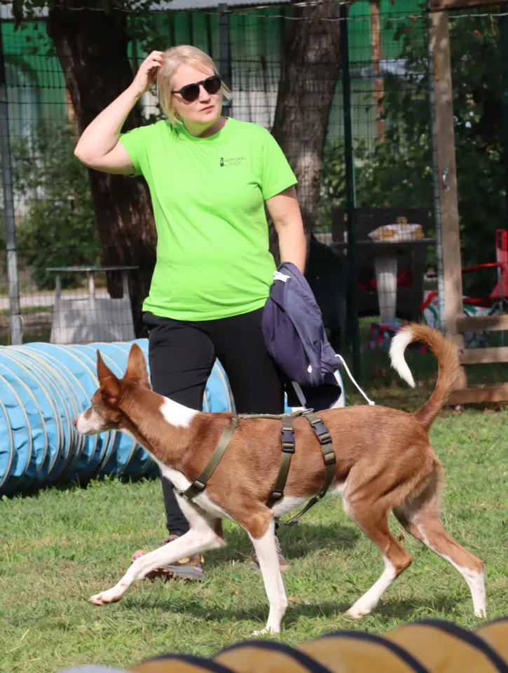Foto GEM DOG A.S.D.: Gara interregionale di mantrailing MSP, Leproso, 11 ottobre 2026, foto 100 di 215