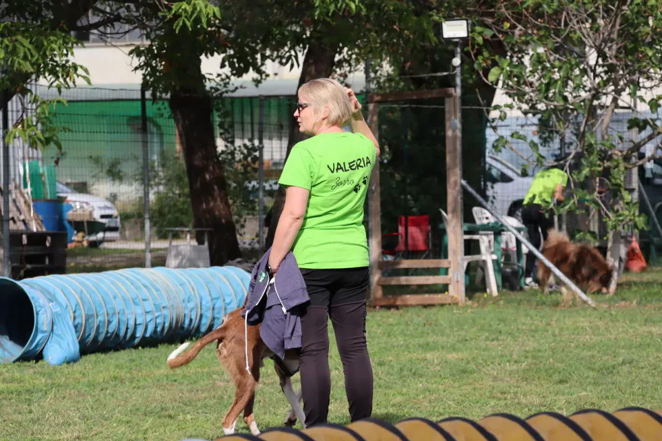 Foto GEM DOG A.S.D.: Gara interregionale di mantrailing MSP, Leproso, 11 ottobre 2026, foto 103 di 215