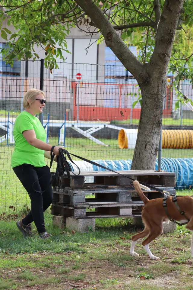 Foto GEM DOG A.S.D.: Gara interregionale di mantrailing MSP, Leproso, 11 ottobre 2026, foto 109 di 215