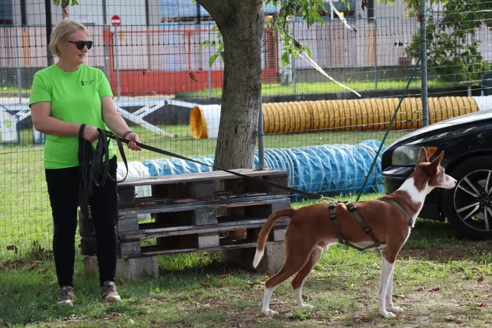 Foto GEM DOG A.S.D.: Gara interregionale di mantrailing MSP, Leproso, 11 ottobre 2026, foto 110 di 215