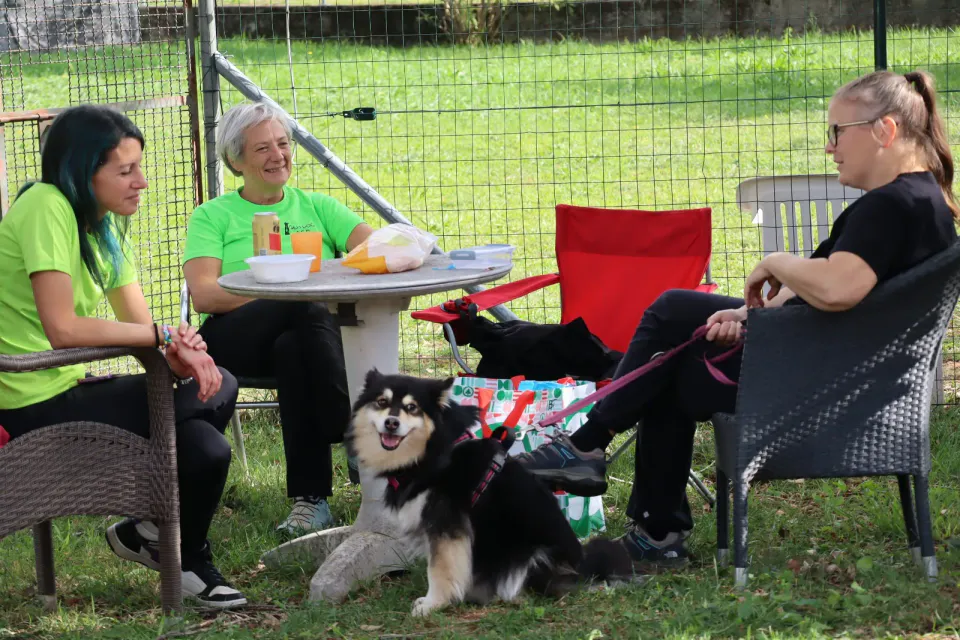Foto GEM DOG A.S.D.: Gara interregionale di mantrailing MSP, Leproso, 11 ottobre 2026, foto 112 di 215