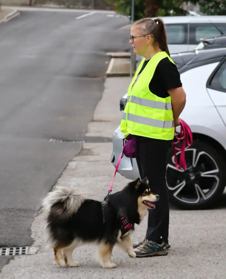 Foto GEM DOG A.S.D.: Gara interregionale di mantrailing MSP, Leproso, 11 ottobre 2026, foto 5 di 215