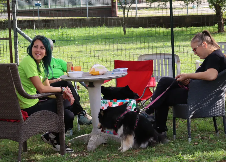 Foto GEM DOG A.S.D.: Gara interregionale di mantrailing MSP, Leproso, 11 ottobre 2026, foto 113 di 215