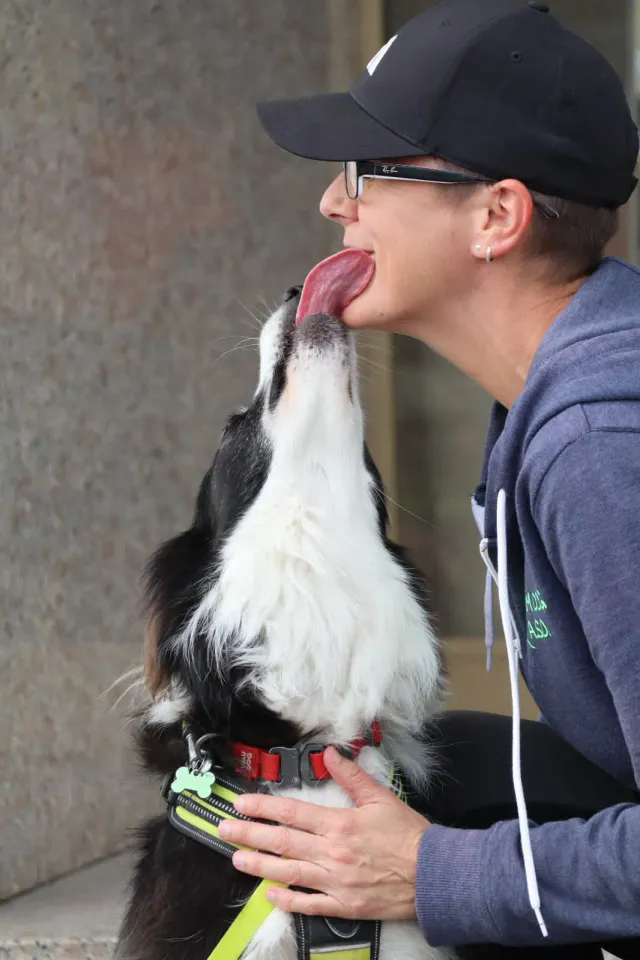 Foto GEM DOG A.S.D.: Gara interregionale di mantrailing MSP, Leproso, 11 ottobre 2026, foto 7 di 215