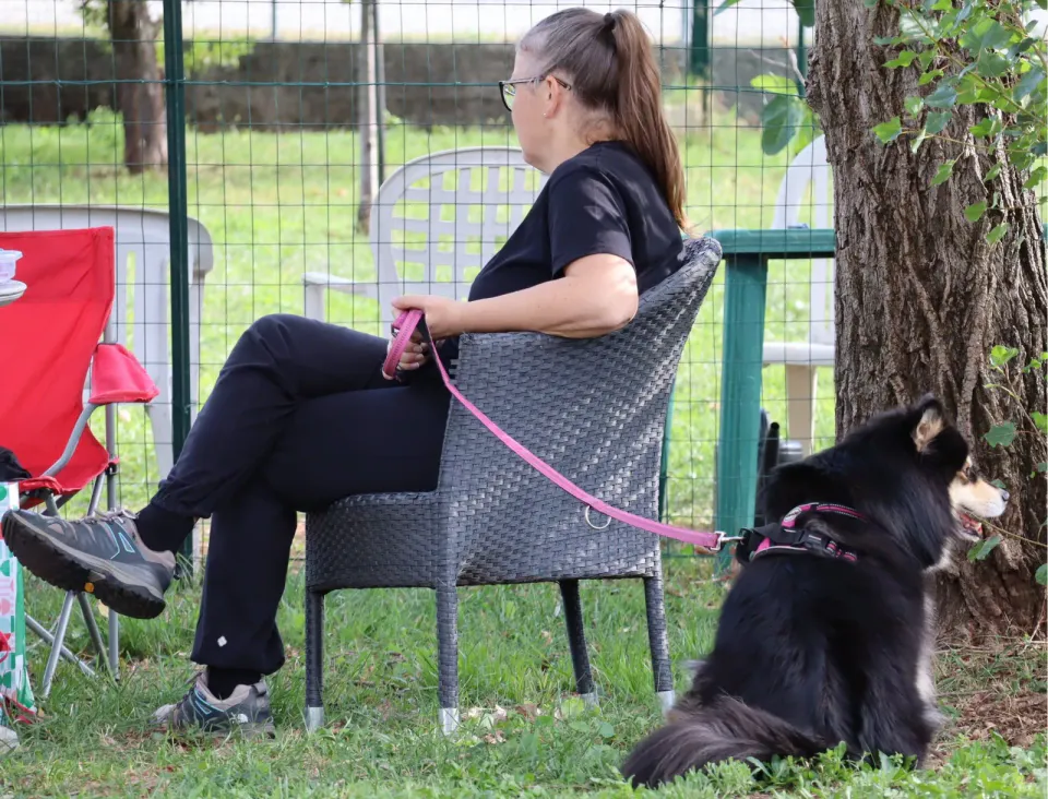Foto GEM DOG A.S.D.: Gara interregionale di mantrailing MSP, Leproso, 11 ottobre 2026, foto 139 di 215
