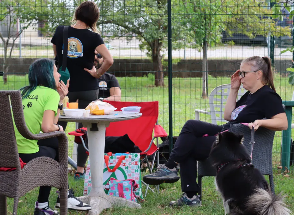 Foto GEM DOG A.S.D.: Gara interregionale di mantrailing MSP, Leproso, 11 ottobre 2026, foto 147 di 215