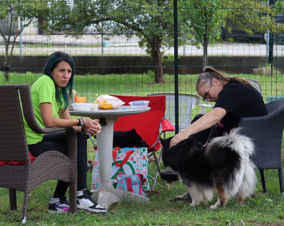Foto GEM DOG A.S.D.: Gara interregionale di mantrailing MSP, Leproso, 11 ottobre 2026, foto 153 di 215