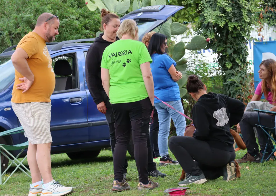 Foto GEM DOG A.S.D.: Gara interregionale di mantrailing MSP, Leproso, 11 ottobre 2026, foto 168 di 215