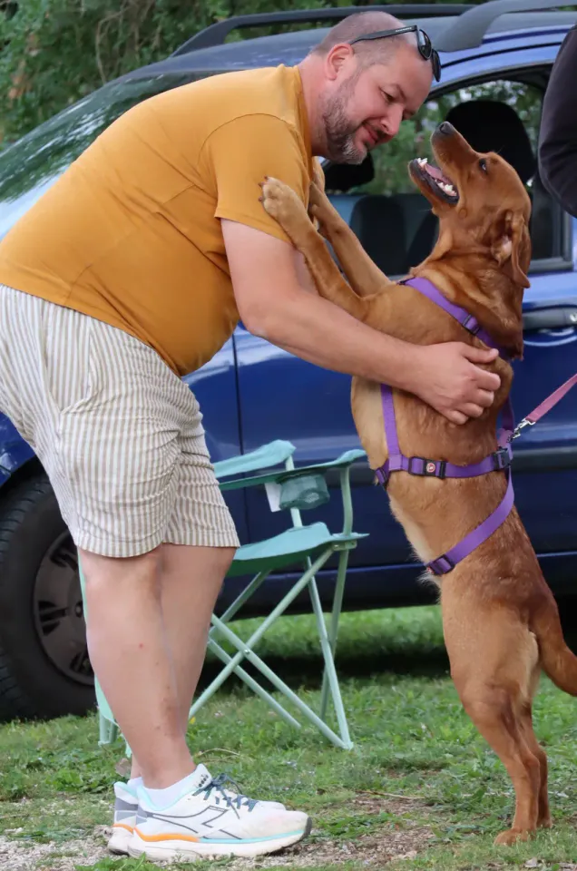 Foto GEM DOG A.S.D.: Gara interregionale di mantrailing MSP, Leproso, 11 ottobre 2026, foto 170 di 215